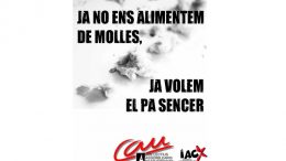 Cartell electoral dels CAU-IAC